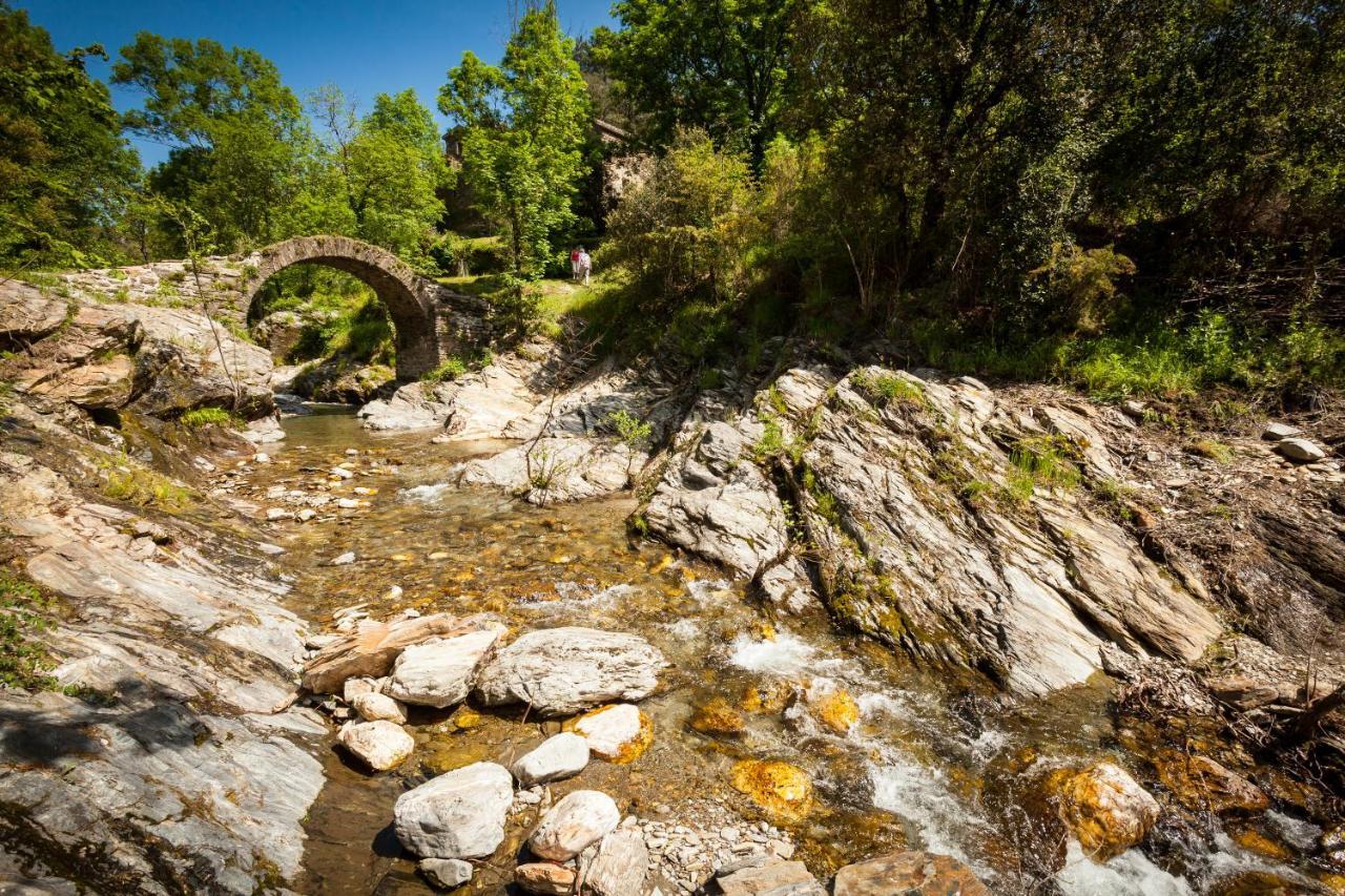 Transgardon B&B en Cévennes Saint-Privat-de-Vallongue Extérieur photo