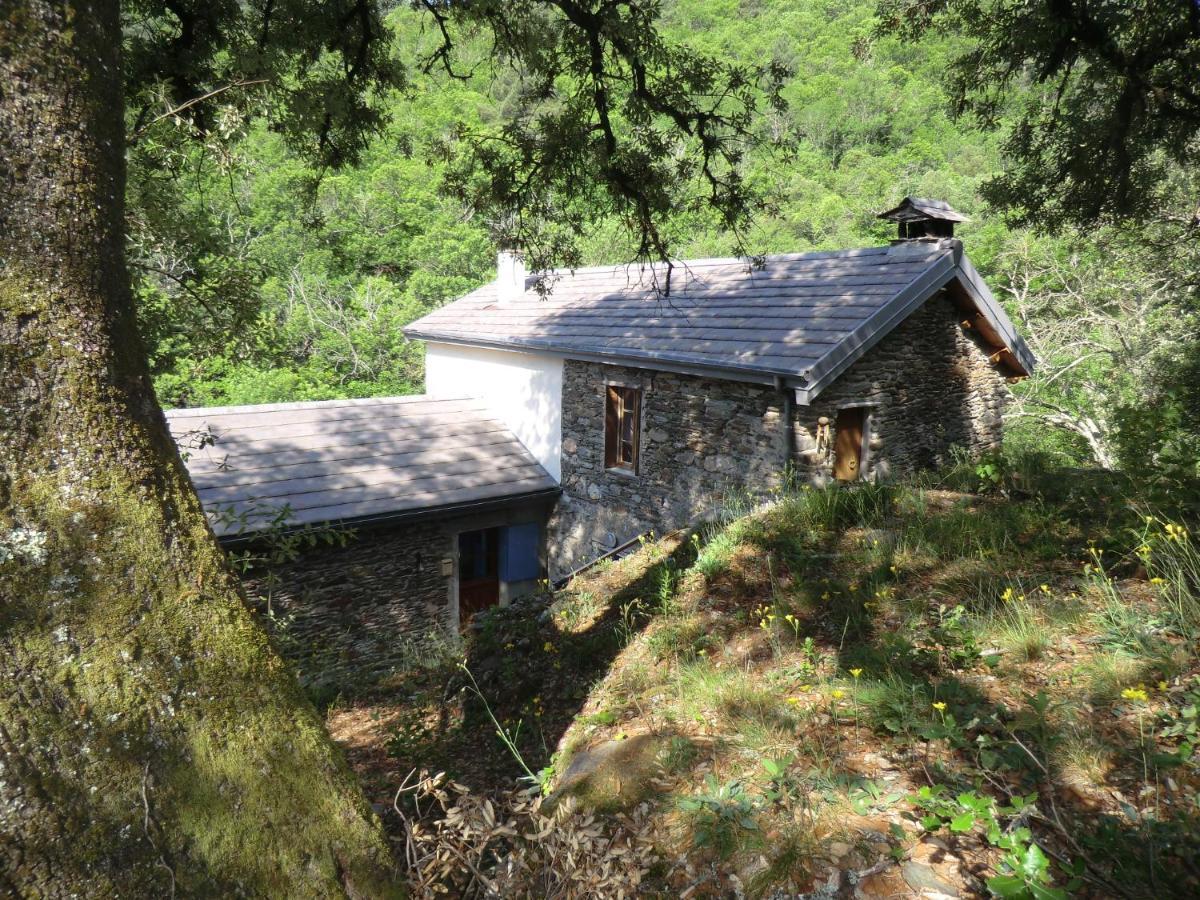 Transgardon B&B en Cévennes Saint-Privat-de-Vallongue Extérieur photo