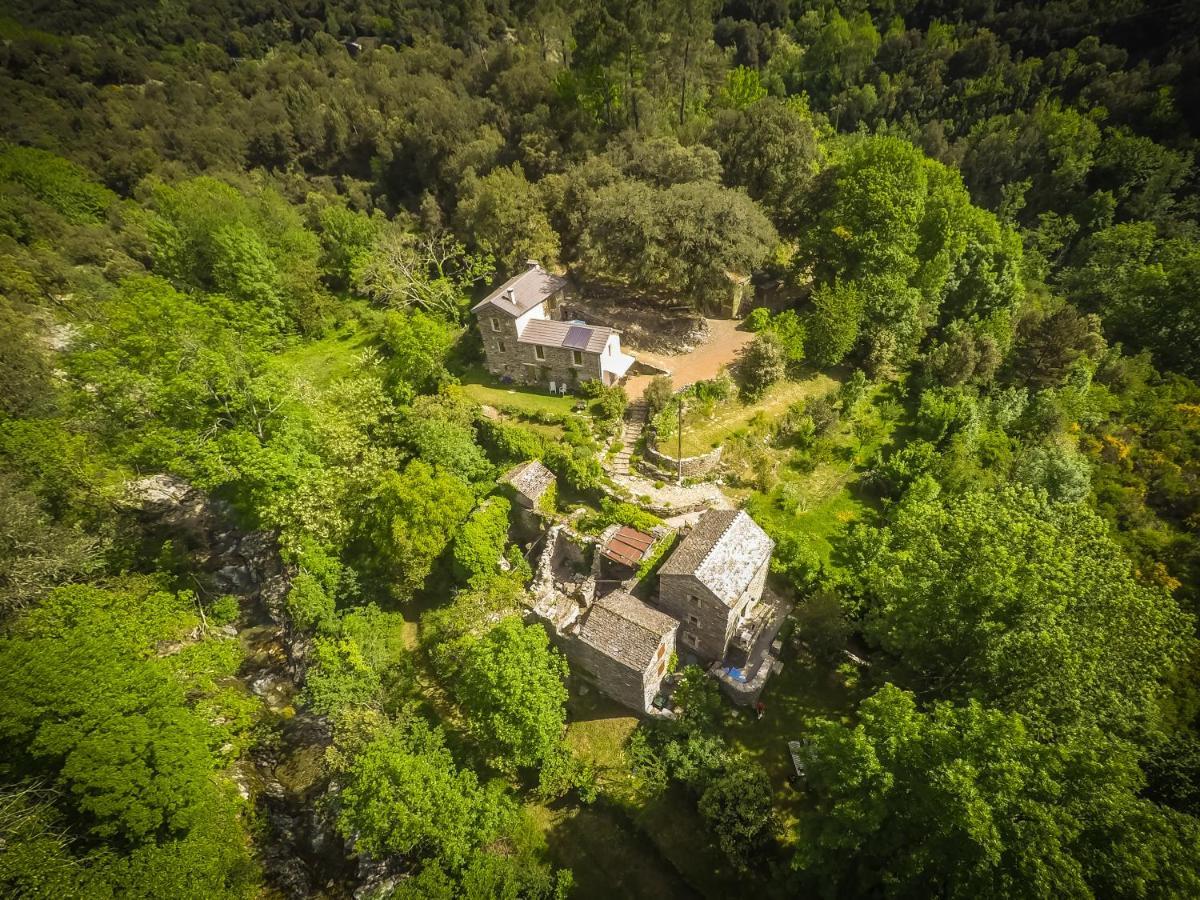 Transgardon B&B en Cévennes Saint-Privat-de-Vallongue Extérieur photo