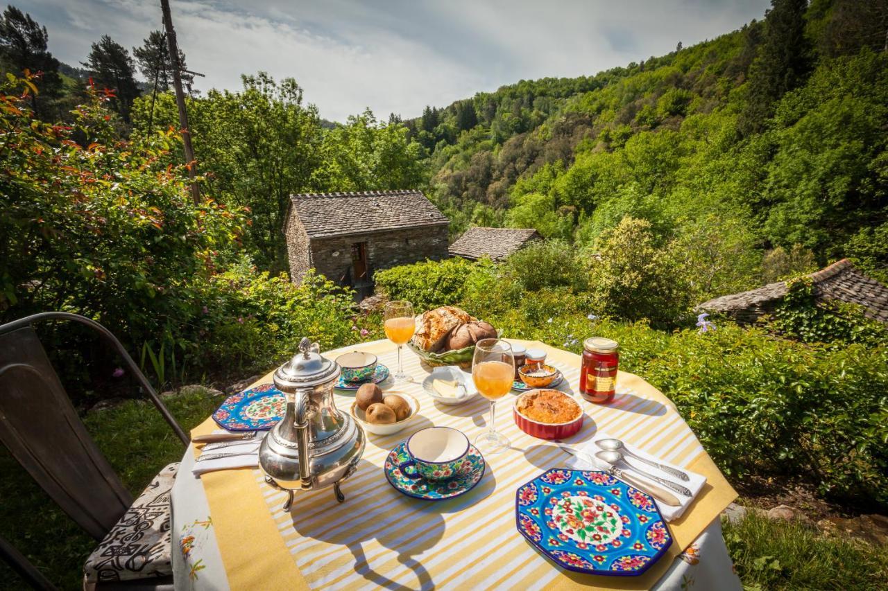 Transgardon B&B en Cévennes Saint-Privat-de-Vallongue Extérieur photo