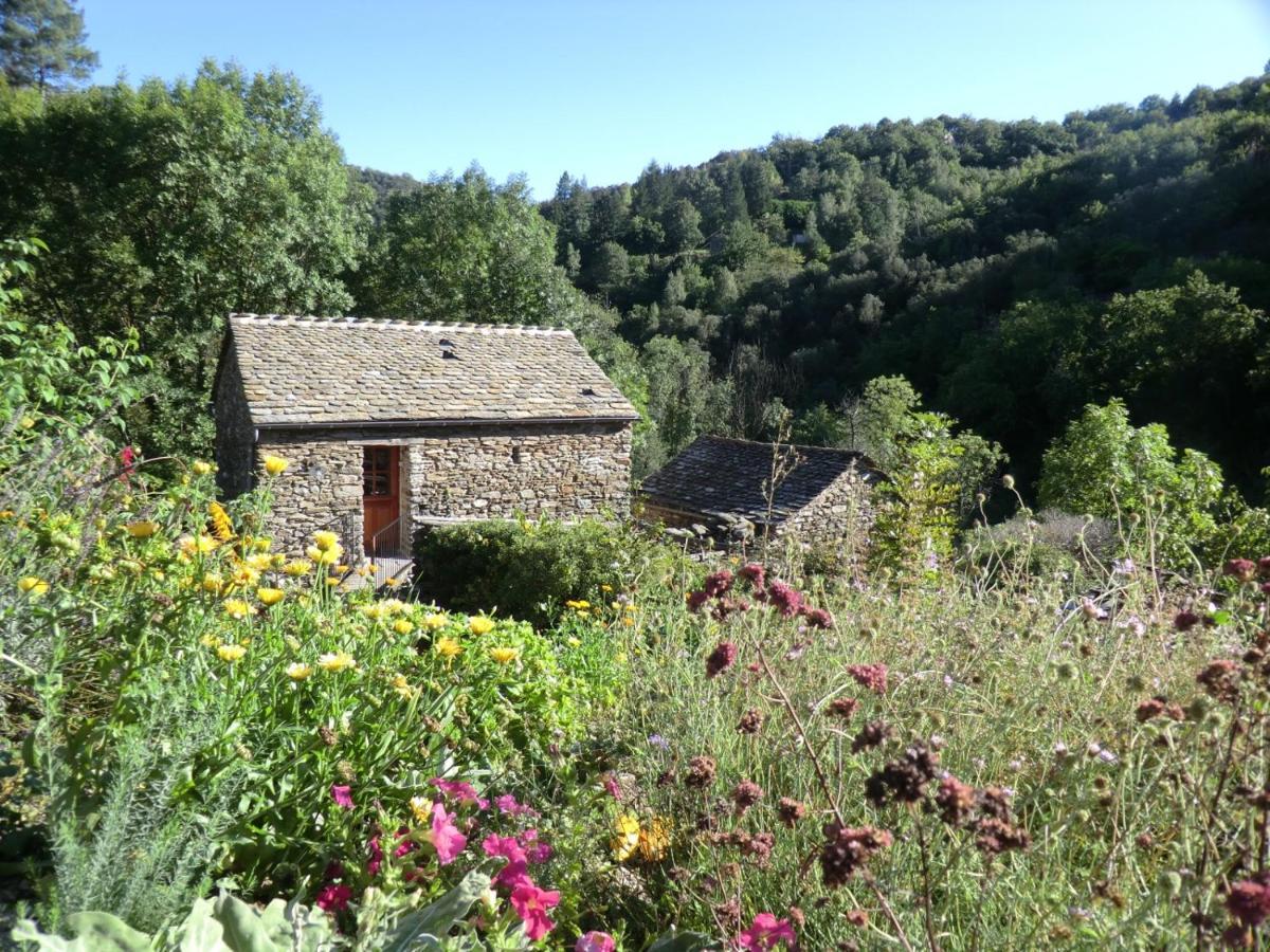 Transgardon B&B en Cévennes Saint-Privat-de-Vallongue Extérieur photo